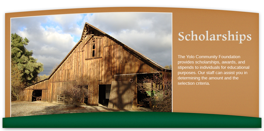 Home - Yolo Community Foundation